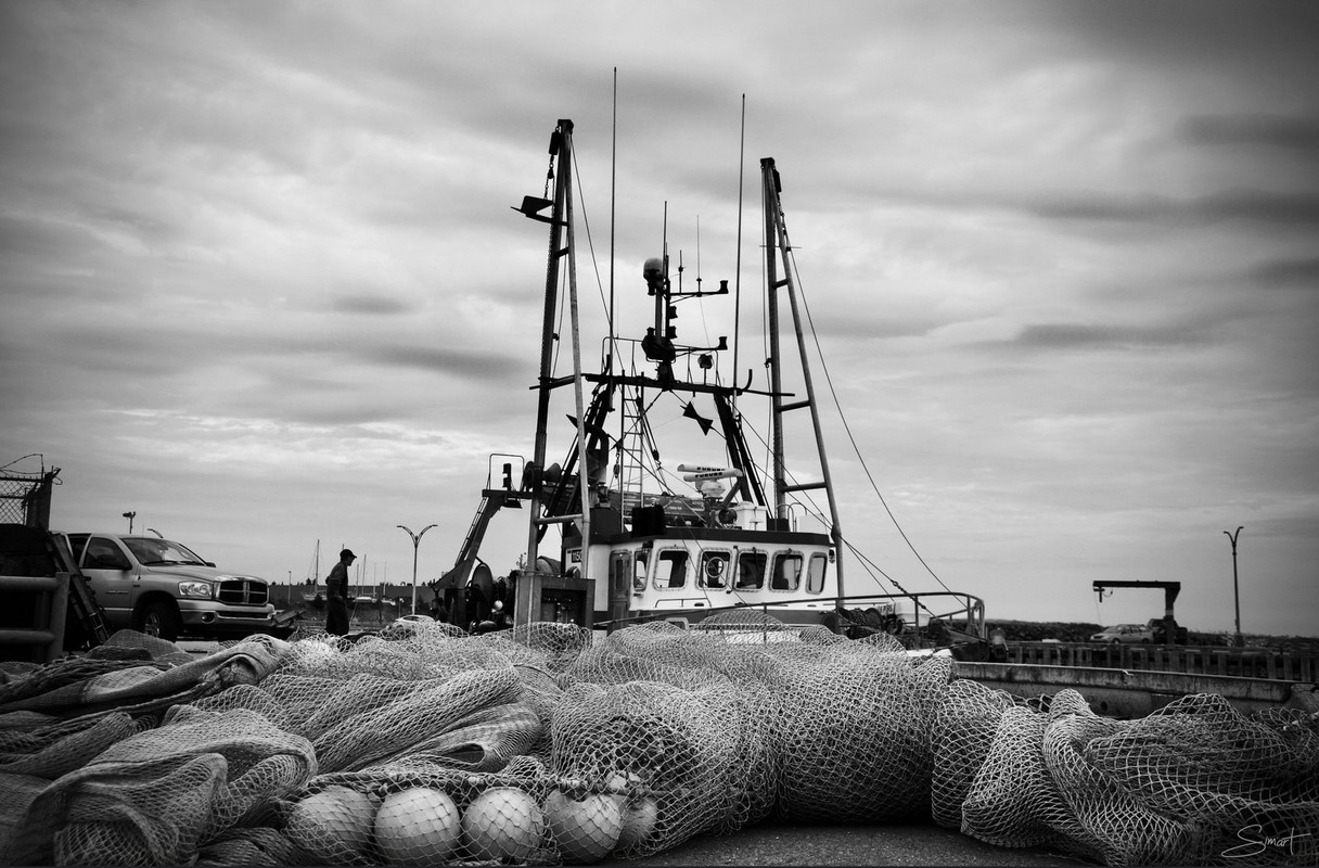 blacknwhite-fishing-nets.jpg