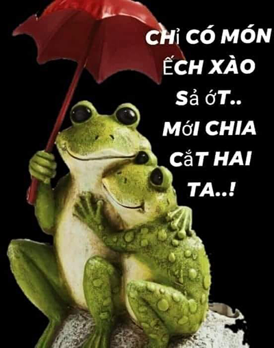 [Image: 2312-IMDH.png]