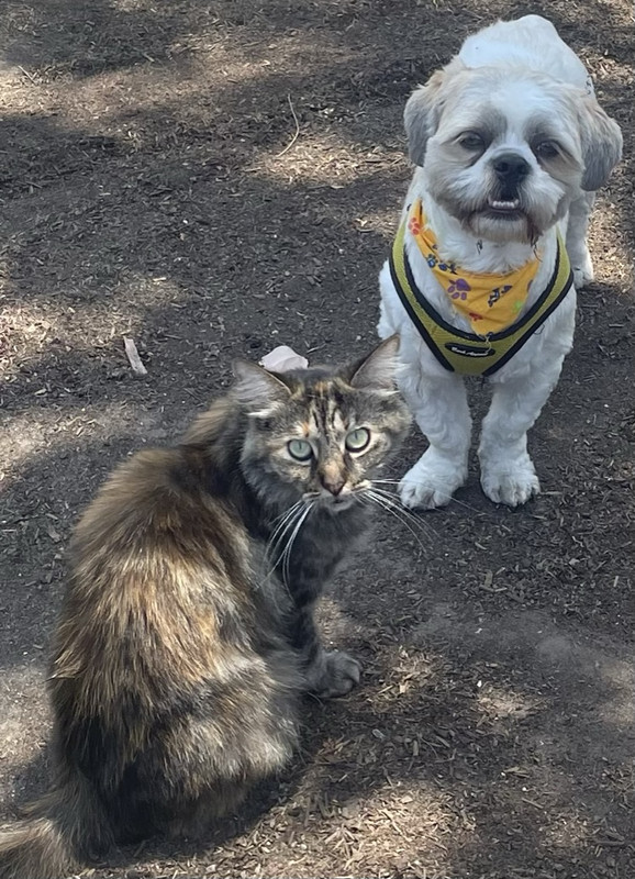 994D418D-9097-4600-A2A7-41CCDEB20927_1_105_c