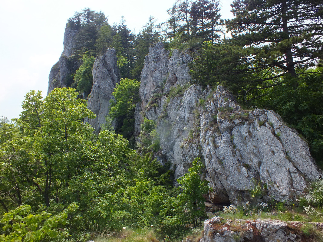 2019_0609STRAŻOWSKIE0049