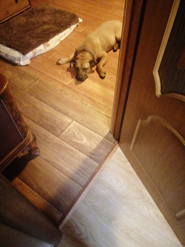 F911F7D7-1A6D-4856-B052-1302FCBB11DE