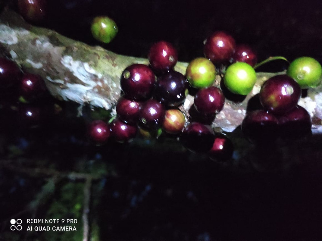 WhatsApp Image 2020-12-20 at 00.10.49 (38)