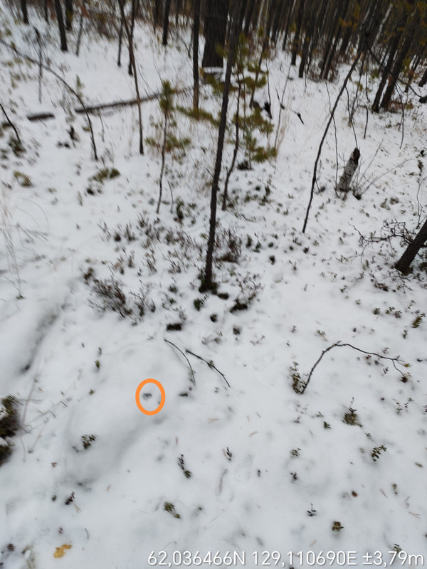 TimePhoto_20251006_145051_edit_928762444175701