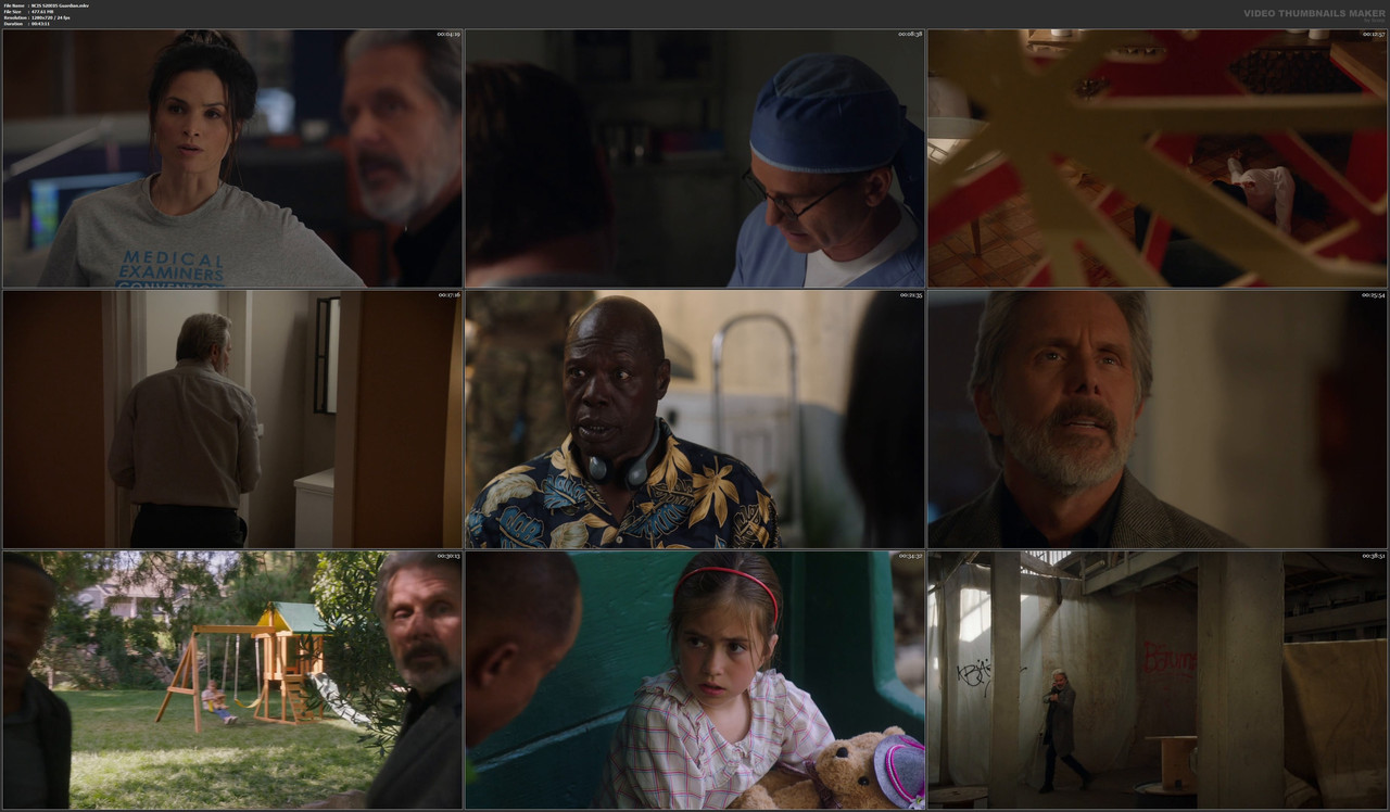 NCIS S20E05 Guardian.mkv