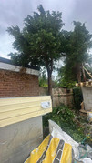 Latest project image 24