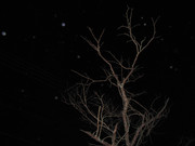 61.2.ghosts of autumn II (edit)