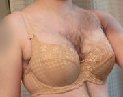 envy-32dd-2