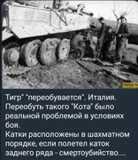 https://i.postimg.cc/rzhLpCxY/photo-2026-06-14-10-37-49.jpg