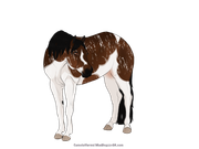 0333FE29-DD7F-4BC8-9CE7-BF93C5B9F4F1