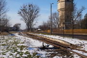 [Obrazek: P1010928-A.jpg]