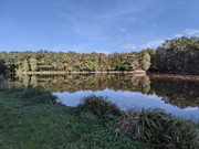 PXL_20211004_153332536