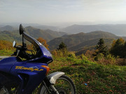 IMG-20221024-151951.jpg