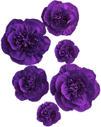 MVDLavender-Love-044