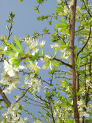 photo 15 2025 12 24 16 27 05