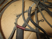 IMG-2914.jpg