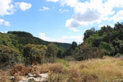 IMG-0101