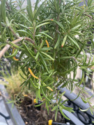 58C54BCC-C833-4B45-9677-A0BEC5A7BB0D