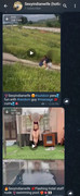 Screenshot-20241224-121233-Plus