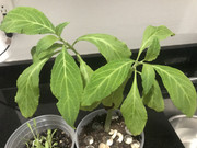 D04A1F68-E4FA-4E2B-84FA-EBEB405CA16F