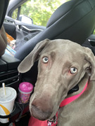 578923EC-6494-453B-B753-7CA3E8F343C5