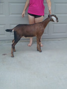 Destiny's 2021 daughter, Jade