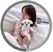 KSH Devy&#039;s Gray 1