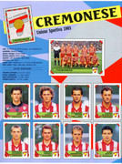 Calciatori-1993-1994-Panini-08
