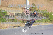 IMG-2597