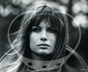 jean-shrimpton-mc81