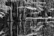 photographier-les-paysages-en-noir-et-blanc-amar-guillen-photographe