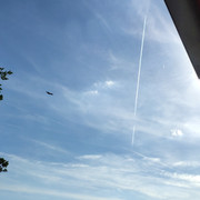 IMG_20220614_174423_1