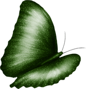 0_14999a_d1e5a4f9_orig