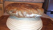 Obrazek