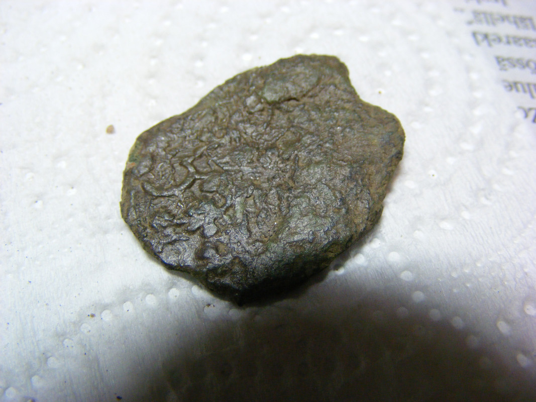 DSCF0082