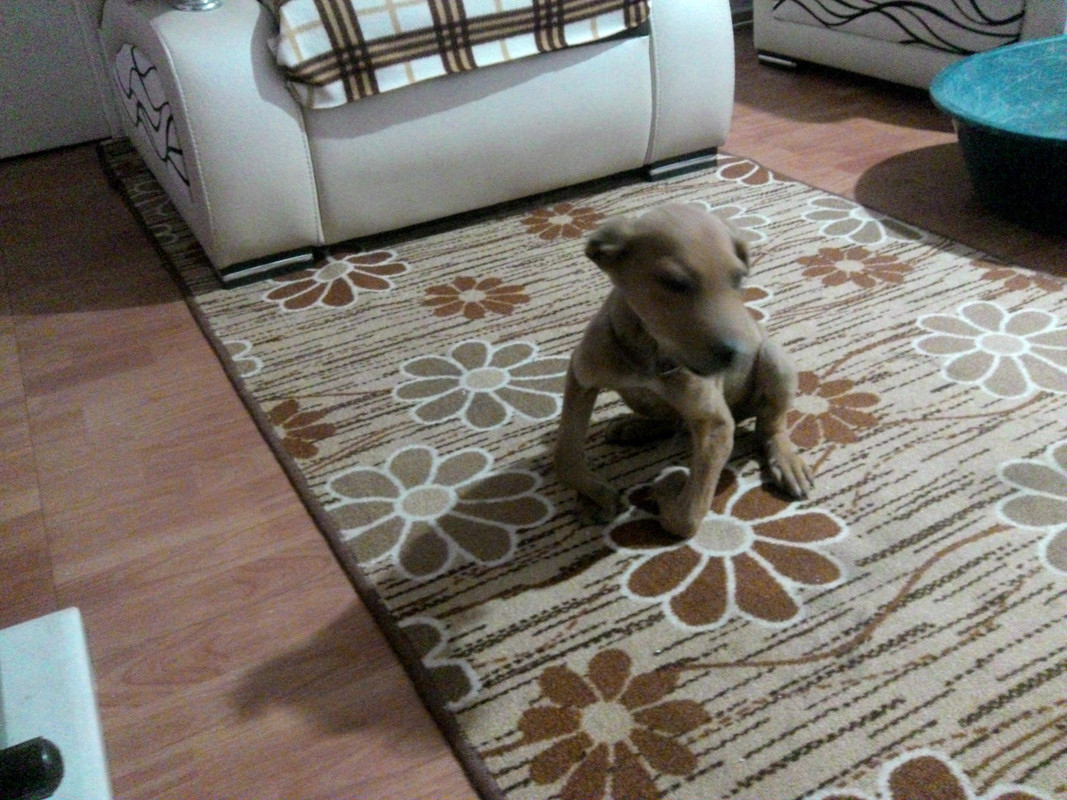 Snapshot_20141128 (7)