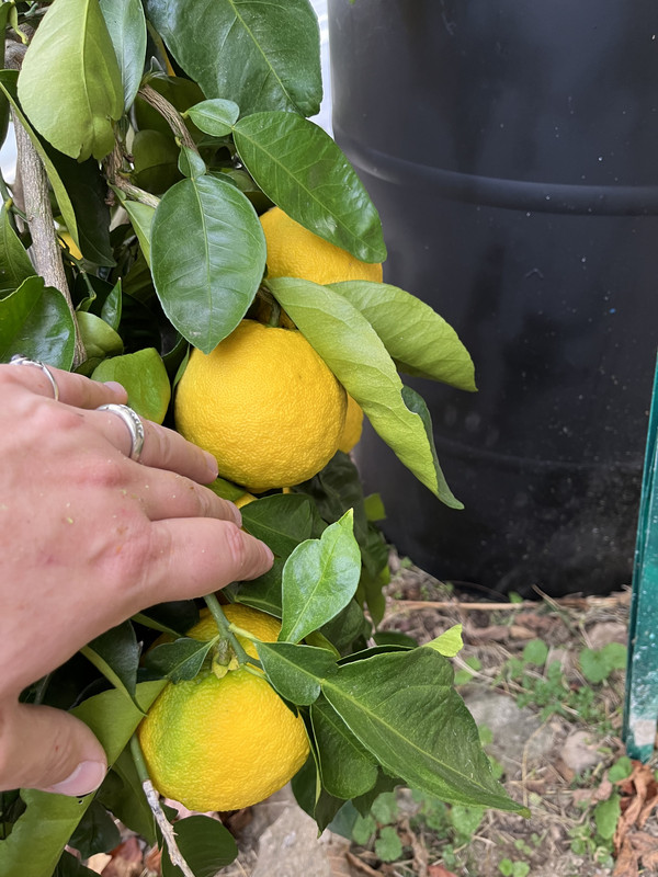 A565C73F-EFD7-43B6-ADEB-D6305D47FFCE