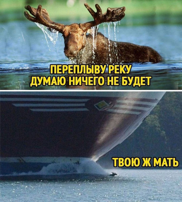 [Изображение: f4b8eb7cdd30fa91eefb2e0554c43f6c.jpg]
