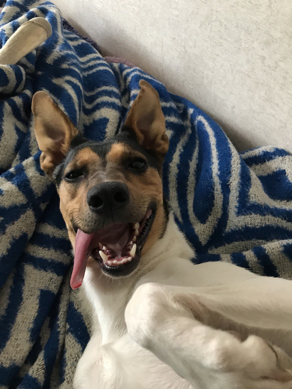 37CB8234-5F89-4CE3-9944-741BE4E27FC9