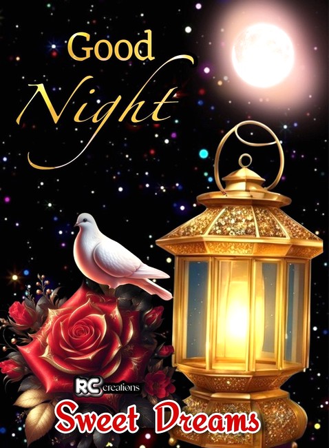 good-night
