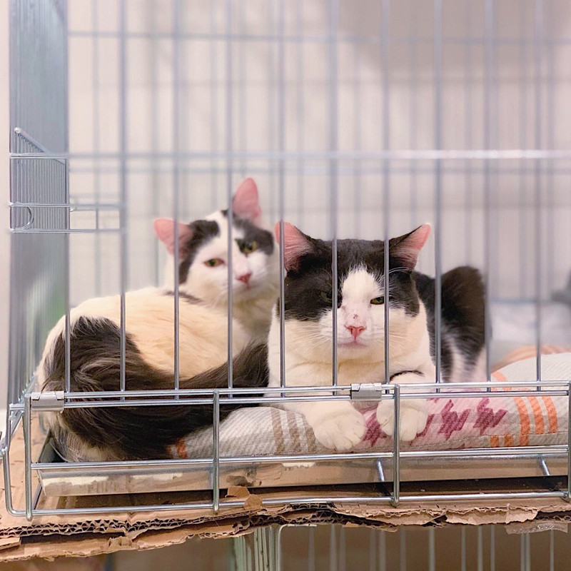 692B6DEB-5351-4F28-A316-F06682C8733C