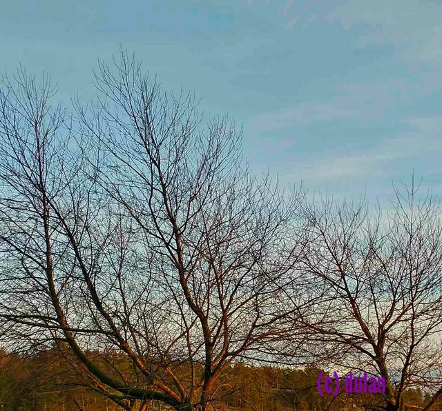 [Image: IMG-20221023-194730.jpg]