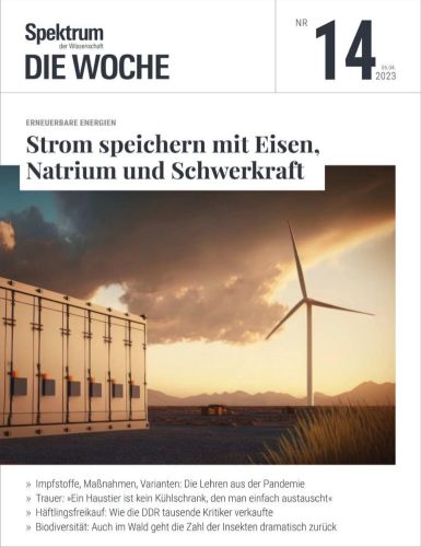 Cover: Spektrum der Wissenschaft Die Woche No 14 vom 06  April 2023