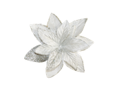 Winter-White-Elements-61