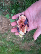 BCDF9C24-04BF-47A2-9CAF-7CDA69950C33