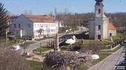 Kép