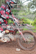 IMG-0327