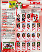 Album-Calciatori-2012-2013-Panini-107