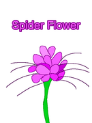 2024_09_09_0zr_Kleki