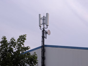 PXL-20260801-190941781.jpg