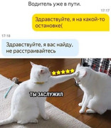 ed94cf8fcdb369f76bce6b8465ffc904.jpg